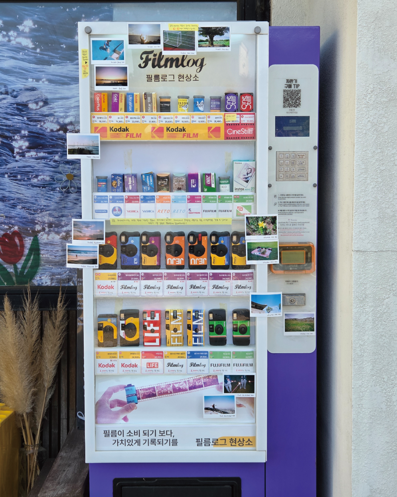 film shop 24h in seongsan